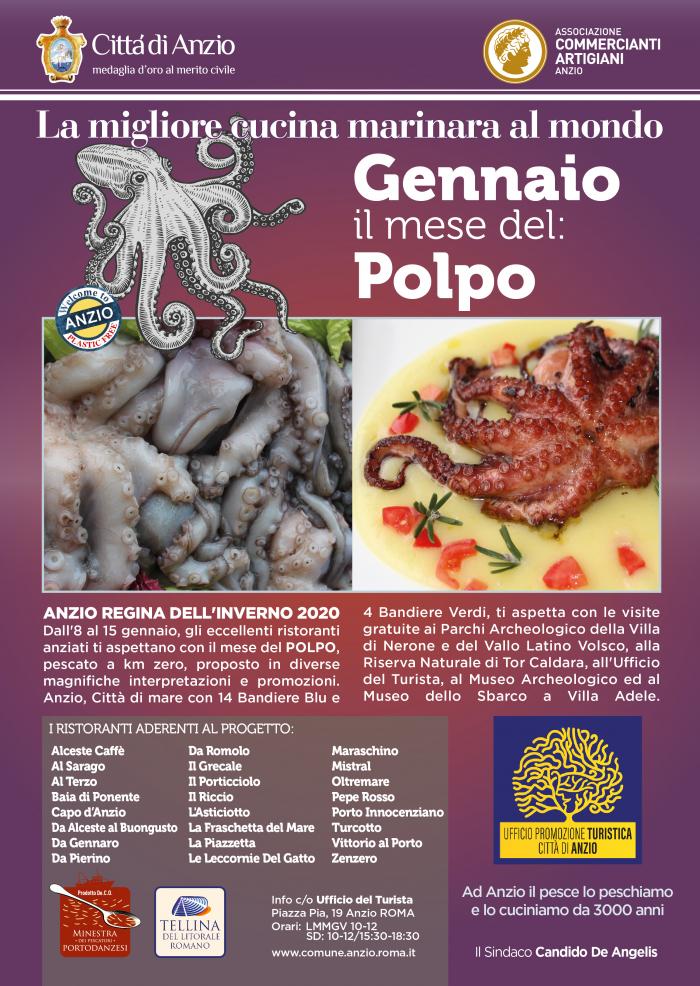 polpo marketing