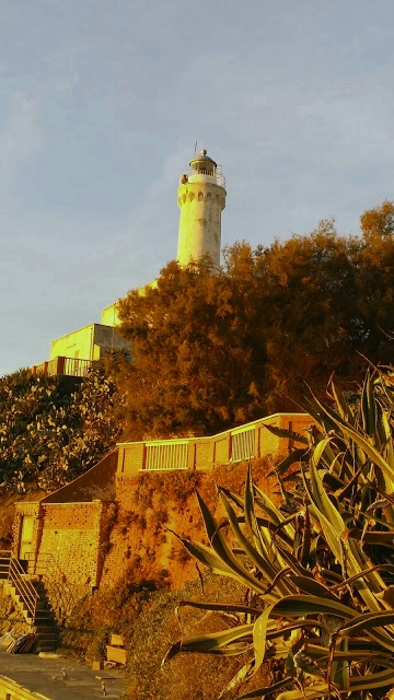 Faro