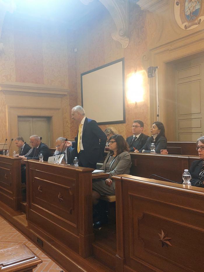 Consiglio comunale sindaco