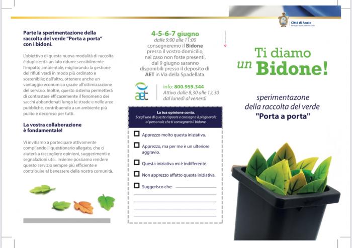 Raccolta del verde