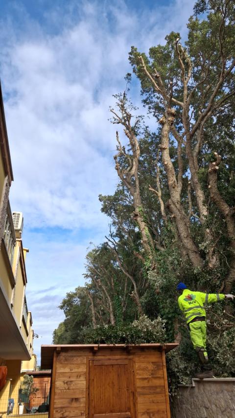 I lavori alla Sughereta