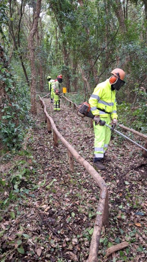I lavori alla Sughereta
