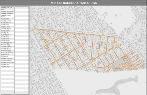 Calendario verde Tartaruga