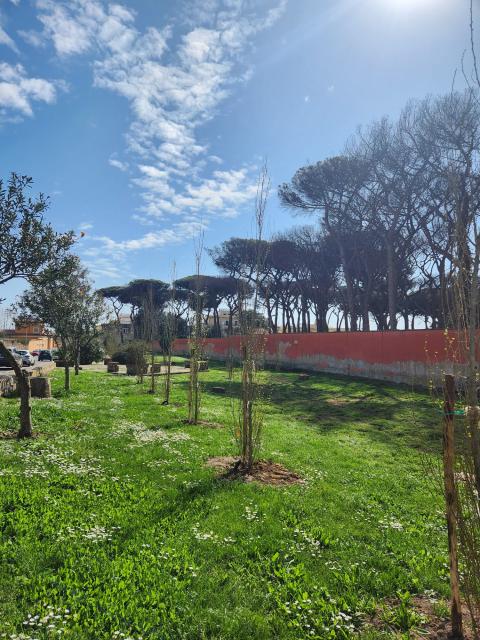 I lavori alla Pinetina di via Roma