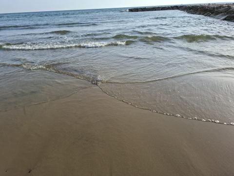 L'area ripulita da Acqualatina