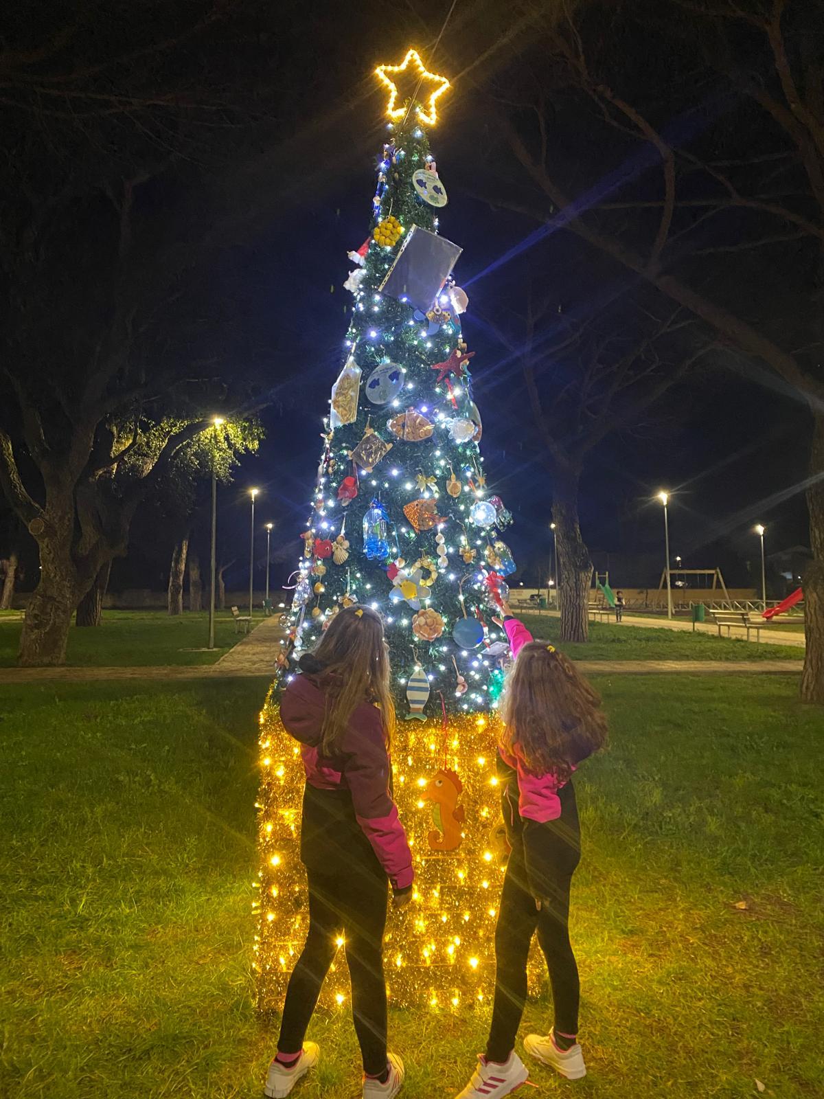 L'albero a Piazza Roma